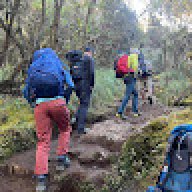 Mountainer