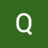 qan313
